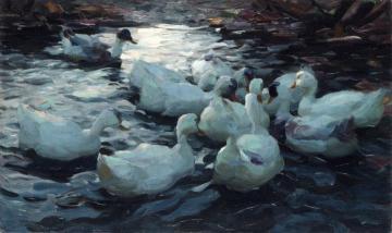 Ducks Feeding Artwork by Alexander Koester