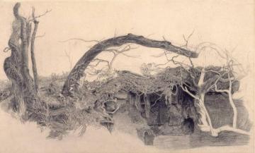 Study of Trees and Undergrowth Artwork by Anthony Frederick Sandys