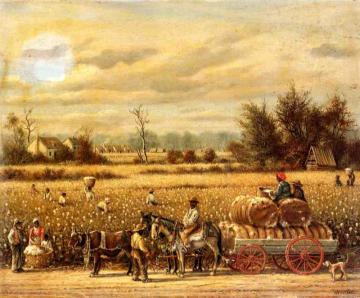 Picking Cotton Artwork by William Aiken Walker