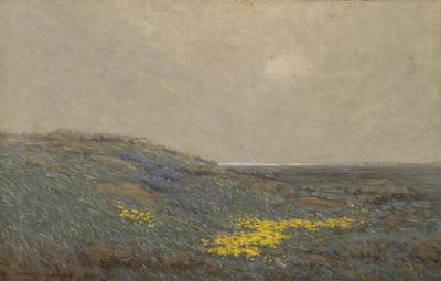 Coastal Wildflowers, 1912 Artwork by Granville Redmond