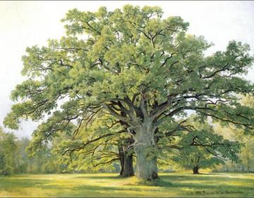 Oaks In The Old Petergof Artwork by Ivan Ivanovich Shishkin