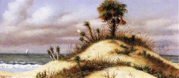 Florida Seascape With Sand Dune, Palm Tree, Yucca, Cactus And Sailboat Artwork by William Aiken Walker