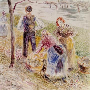 Harvesting Potatos Artwork by Camille Pissarro