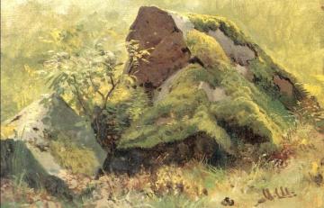 Stones (etude) Artwork by Ivan Ivanovich Shishkin