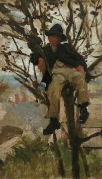 Boy in Tree Artwork by Henry Scott Tuke