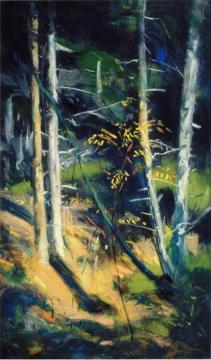 Maine Landscape Artwork by Robert Henri