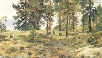 On Sandy Ground Artwork by Ivan Ivanovich Shishkin
