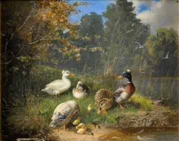 Family Of Ducks On The River Bank Artwork by Julius Scheuerer