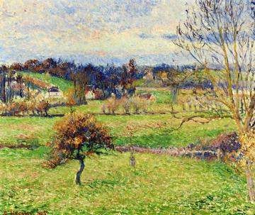 Field at Eragny Artwork by Camille Pissarro