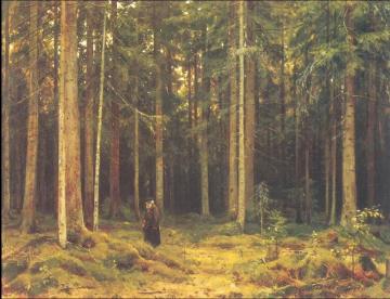 In The Forest Of Countess Mordvinova, Petergof Artwork by Ivan Ivanovich Shishkin