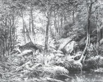 Thicket (view On The Island Valaam) Artwork by Ivan Ivanovich Shishkin