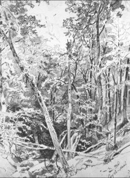 Suuch-khan Artwork by Ivan Ivanovich Shishkin