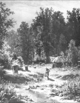 Bee-garden In A Forest Artwork by Ivan Ivanovich Shishkin
