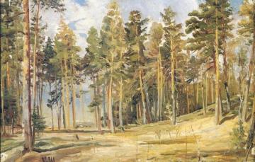 Pines. Sunny Day (etude) Artwork by Ivan Ivanovich Shishkin
