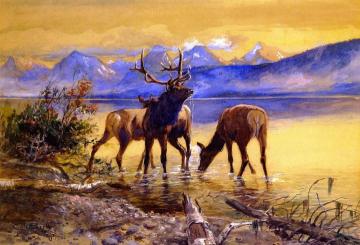 Elk in Lake McDonald Artwork by Charles Marion Russell