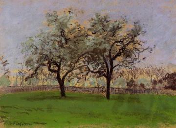 Apples Trees at Pontoise Artwork by Camille Pissarro