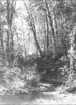 Brook In A Forest Artwork by Ivan Ivanovich Shishkin