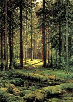 Coniferous Forest, Sunny Day Artwork by Ivan Ivanovich Shishkin