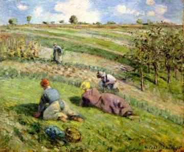 Cultivators in the Fields, Pontoise Artwork by Camille Pissarro