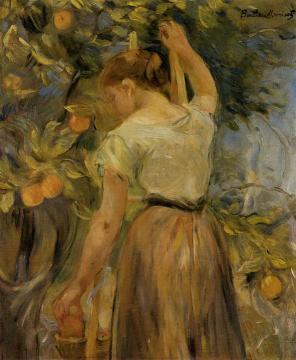 Young Woman Picking Oranges Artwork by Berthe Morisot