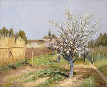 Almond Trees In Bloom Artwork by Marcel Dyf