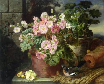 Primula In A Pot And A Chaffinch Artwork by John Wainwright