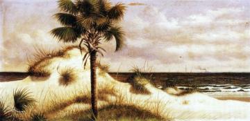 Sand Dunes, Palmetto (sabal) And Steamboat Artwork by William Aiken Walker