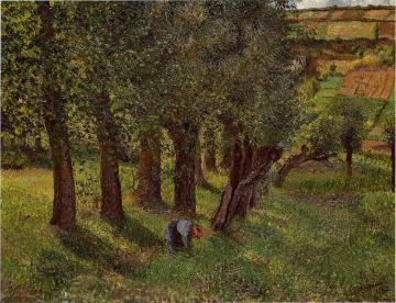 Le Chou a Pontoise Artwork by Camille Pissarro