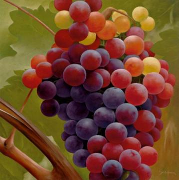 Grapes On The Vine (trauben An Der Rebe) Artwork by Heinz Scholnhammer