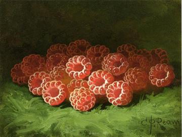 Still Life with Raspberies Artwork by Carducius Plantagenet Ream