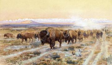 The Bison Trail Artwork by Charles Marion Russell