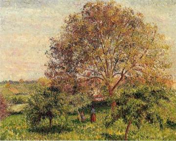 Walnut Tree in Spring Artwork by Camille Pissarro