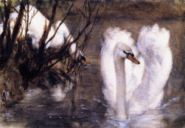 Two Swans Artwork by Adolph von Menzel
