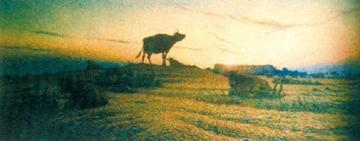 Sunset Artwork by Nils Kreuger