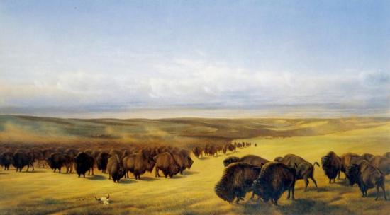 The Gathering Of The Herds Artwork by William Jacob Hays