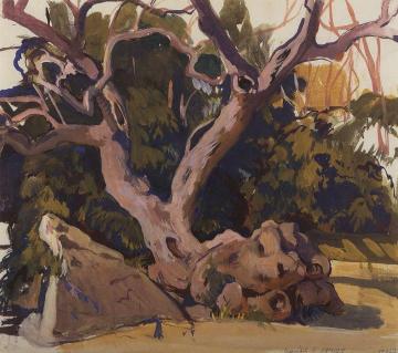 Trees in the Crimea Artwork by Zinaida Serebriakova
