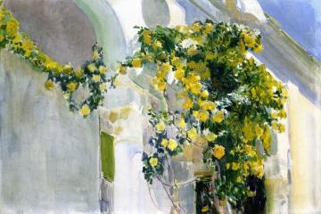 The Yellow Rosebush Of The Sorolla House Artwork by Joaquin Sorolla y Bastida