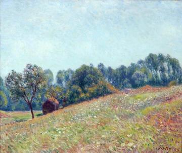 Le Vallon Artwork by Alfred Sisley