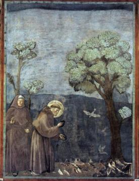 Legend Of St Francis: 15. Sermon To The Birds (upper Church, San Francesco, Assisi) Artwork by Giotto di Bondone