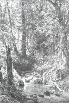 Woodland Brook Artwork by Ivan Ivanovich Shishkin