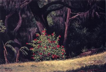 Woodland Scene With Red-flowered Bush Artwork by William Aiken Walker