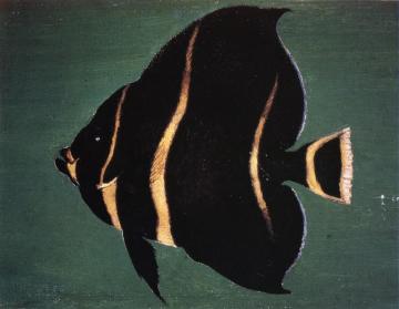 Juvenile Angel Fish Artwork by William Aiken Walker