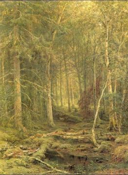 Backwoods Artwork by Ivan Ivanovich Shishkin