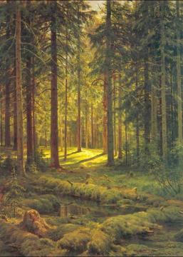 Coniferous Forest. Sunny Day Artwork by Ivan Ivanovich Shishkin