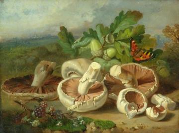 Still Life With Mushrooms Artwork by John Wainwright