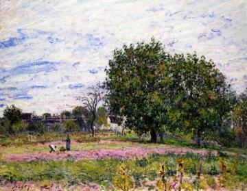 Walnut Trees, Sunset - Early Days of October Artwork by Alfred Sisley