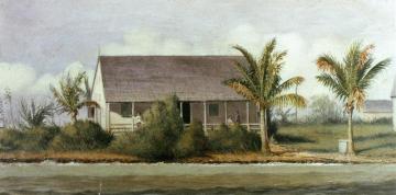 Cottage On Beach With Palm Trees (florida) Artwork by William Aiken Walker