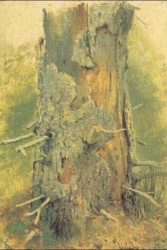 Bark On Dry Up Tree (etude) Artwork by Ivan Ivanovich Shishkin