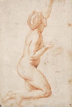 Kneeling Nude Woman Artwork by Raphael