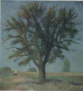 An Old Pear Tree Artwork by Tatiana Yablonskaya